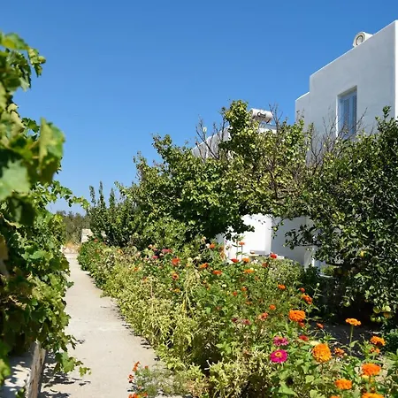 Flora & Agelos Studios Chrisi Akti (Paros)