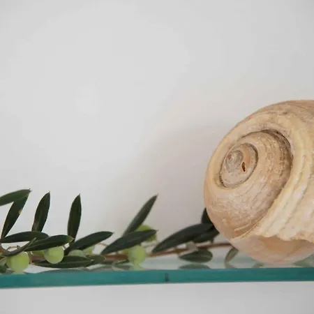 Flora & Agelos Studios Apartment *