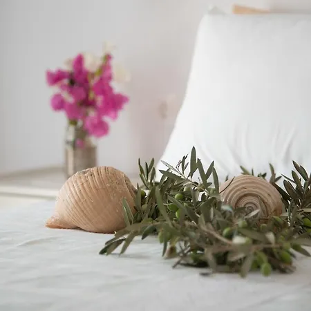 Apartment Flora & Agelos Studios