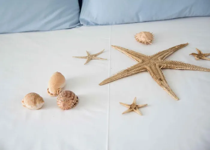 Flora & Agelos - Paros