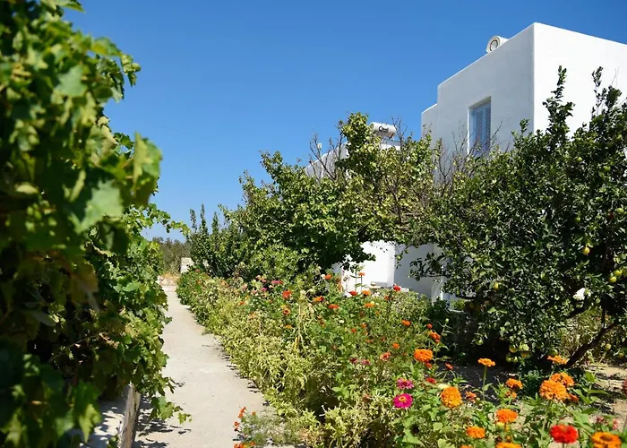 Flora & Agelos - Paros クリシ・アクティ