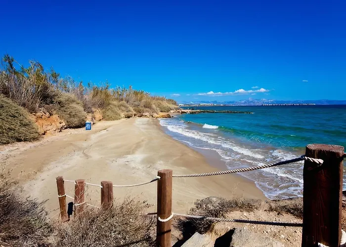 Flora & Agelos - Paros クリシ・アクティ